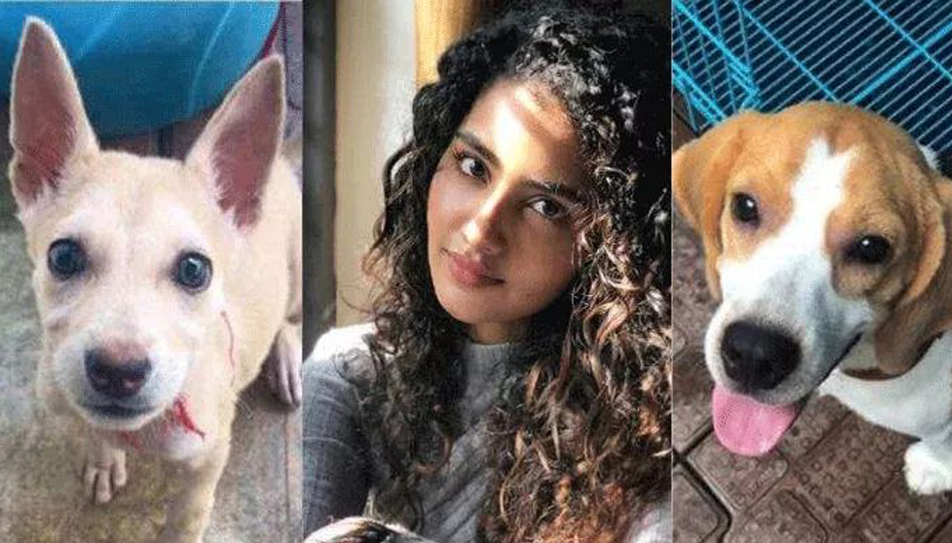 Anupama Parameswaran mourns the loss of her pet dogs: The pain is unbearable